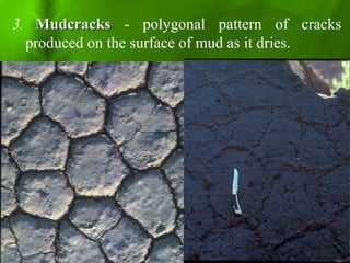 3. MudcracksMudcracks - polygonal pattern of cracks
produced on the surface of mud as it dries.
 