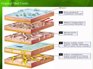 Origin of Mud Cracks
 
