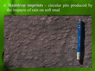 4. Raindrop imprintsRaindrop imprints - circular pits produced by
the impacts of rain on soft mud
 