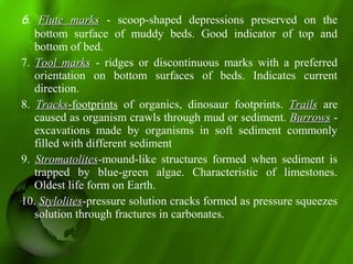 6. Flute marksFlute marks - scoop-shaped depressions preserved on the
bottom surface of muddy beds. Good indicator of top and
bottom of bed.
7. Tool marksTool marks - ridges or discontinuous marks with a preferred
orientation on bottom surfaces of beds. Indicates current
direction.
8. TracksTracks-footprints of organics, dinosaur footprints. TrailsTrails are
caused as organism crawls through mud or sediment. BurrowsBurrows -
excavations made by organisms in soft sediment commonly
filled with different sediment
9. StromatolitesStromatolites-mound-like structures formed when sediment is
trapped by blue-green algae. Characteristic of limestones.
Oldest life form on Earth.
10. StylolitesStylolites-pressure solution cracks formed as pressure squeezes
solution through fractures in carbonates.
 