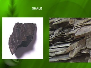 SHALE
 
