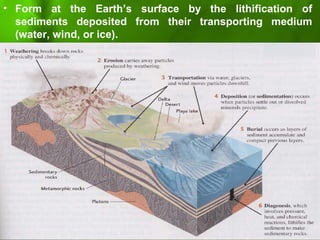 • Form at the Earth’s surface by the lithification of
sediments deposited from their transporting medium
(water, wind, or ice).
 
