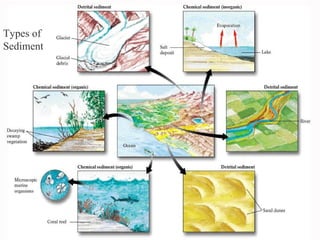Types of
Sediment
 