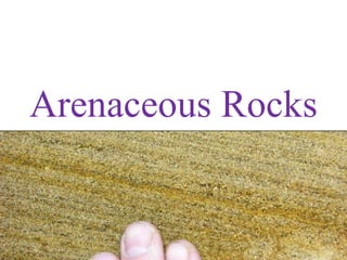 Arenaceous Rocks
 