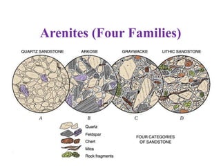 Arenites (Four Families)
 