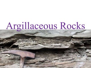 Argillaceous Rocks
 