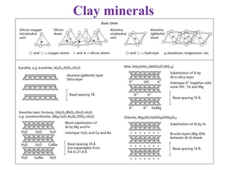 Clay minerals
 