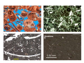 Grainstone Packstone
Wackwstone Mudstone
 