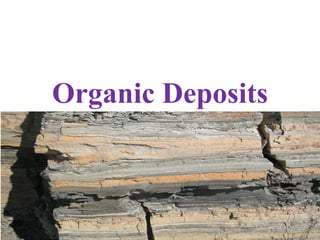 Organic Deposits
 