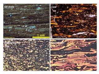 Oil shale Coal
Boghead coal Cannel coal
 