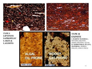OLUSEGUN OLATINPO 43
TYPE I
LIPTINITE
SAPROPELIC
LAKES &
LAGOONS
TYPE II
EXINITE
I. MARINE MATERIAL -
PHYTOPLANKTONS ,
ZOOPLANKTONS, ALGAE
II. TERRESTRIAL (PLANT)
MATERIAL- SPORES,
POLLEN, AND CUTICLE
 