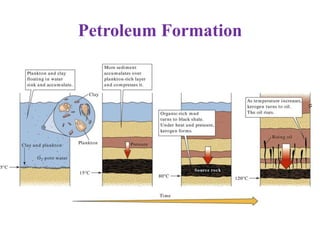 Petroleum Formation
 