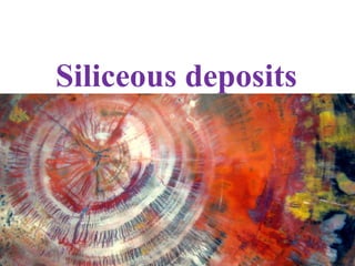 Siliceous deposits
 