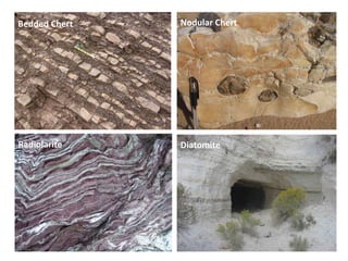 Bedded Chert Nodular Chert
DiatomiteRadiolarite
 