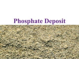 Phosphate Deposit
 