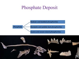 Phosphate
Nodular and bedded phosphorites
Bioclastic and pebble-bed phosphorites
Guano and ocean-island phosphorites
Phosphate Deposit
 