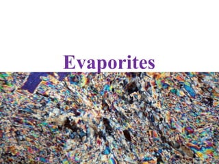 Evaporites
 