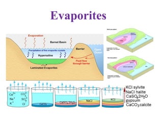 Evaporites
 