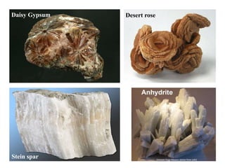 Daisy Gypsum Desert rose
Stein spar
 