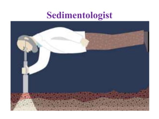 Sedimentologist
 