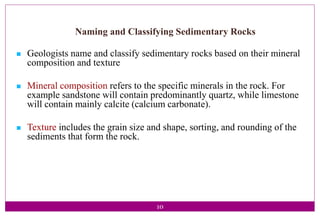 10
Naming and Classifying Sedimentary Rocks
 Geologists name and classify sedimentary rocks based on their mineral
composition and texture
 Mineral composition refers to the specific minerals in the rock. For
example sandstone will contain predominantly quartz, while limestone
will contain mainly calcite (calcium carbonate).
 Texture includes the grain size and shape, sorting, and rounding of the
sediments that form the rock.
 