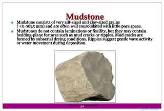30
Mudstone
 Mudstone consists of very silt-sized and clay-sized grains
( <0.0625 mm) and are often well consolidated with little pore space.
 Mudstones do not contain laminations or fissility, but they may contain
bedding-plane features such as mud cracks or ripples. Mud cracks are
formed by subaerial drying conditions. Ripples suggest gentle wave activity
or water movement during deposition.
Table of Contents
http://www.auckland.ac.nz/
 
