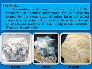 Salt Rocks :
Evaporation is the major process involved in the
deposition of chemical precipitate. The salt deposits
formed by the evaporation of saline lakes are called
evaporites the principal mineral of these deposits are
chlorides and sulfates of Na, K, Mg & Ca. Example-
Gypsum & Anhydrite
Salt rock AnhydriteGypsum
 