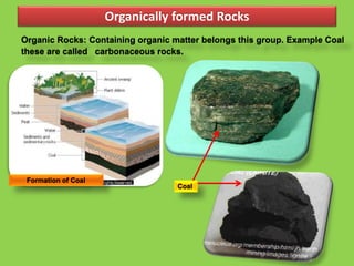 Organically formed Rocks
Organic Rocks: Containing organic matter belongs this group. Example Coal
these are called carbonaceous rocks.
Formation of Coal
Coal
 