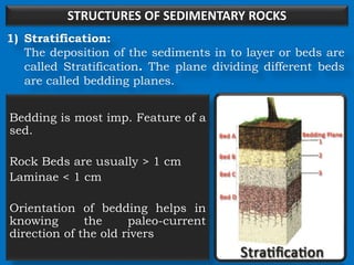 STRUCTURES OF SEDIMENTARY ROCKS
1) Stratification:
The deposition of the sediments in to layer or beds are
called Stratification. The plane dividing different beds
are called bedding planes.
Bedding is most imp. Feature of a
sed.
Rock Beds are usually > 1 cm
Laminae < 1 cm
Orientation of bedding helps in
knowing the paleo-current
direction of the old rivers
 