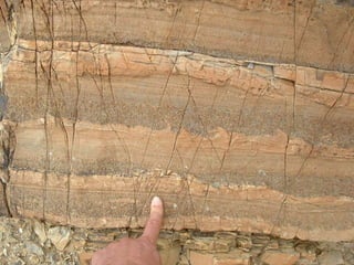 Sedimentary rocks