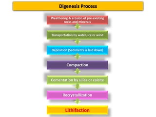 Weathering & erosion of pre-existing
rocks and minerals
Transportation by water, ice or wind
Deposition (Sediments is laid down)
Compaction
Cementation by silica or calcite
Recrystallization
Lithifaction
Digenesis Process
 