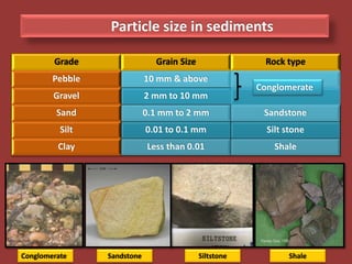 Particle size in sediments
Grade Grain Size Rock type
Pebble 10 mm & above
Gravel 2 mm to 10 mm
Sand 0.1 mm to 2 mm Sandstone
Silt 0.01 to 0.1 mm Silt stone
Clay Less than 0.01 Shale
Conglomerate
Conglomerate Sandstone Siltstone Shale
 
