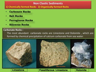 Non Clastic Sediments
1) Chemically formed Rocks 2) Organically formed Rocks
• Carbonate Rocks
• Salt Rocks
• Ferruginous Rocks
• Siliceous Rocks
Carbonate Rocks :
The most abundant carbonate rocks are Limestone and Dolomite , which are
formed by chemical precipitation of calcium carbonate from sea water.
Fossiliferous LimestoneLimestone Dolomite
 