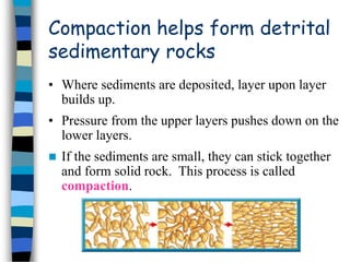 SSSSSSSSSSSSSSSSSedimentary Rocks.geography.ppt