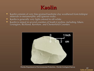 Sedimentary Rocks for studying engineering geology | PPT