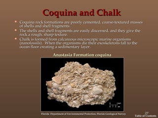 Sedimentary Rocks for studying engineering geology | PPT
