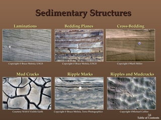 Sedimentary Structures Examples Sedimentary Rocks for studying engineering geology | PPT