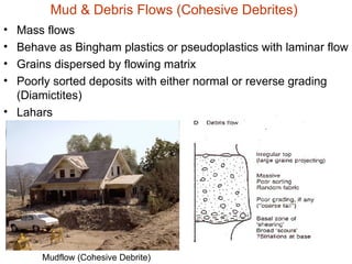 Sedimentary Rocks and ore deposits Geology 2nd year .ppt