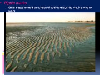 Sedimentary rocks bs 1st year | PDF | Geology | Science