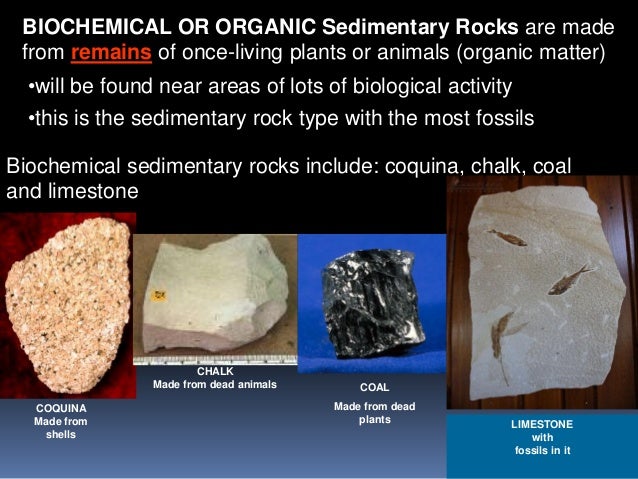 Sedimentary rocks bs 1st year