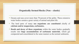 Sedimentary rocks in engineering geology.pdf