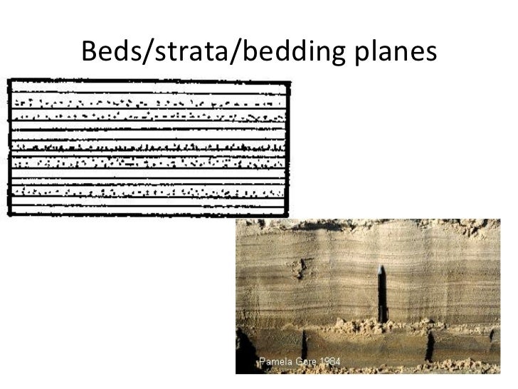 Sedimentary rocks and structures