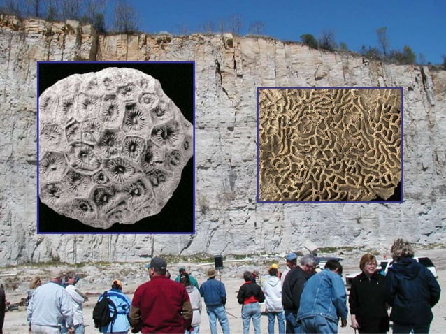 Sedimentary Rock Slides Pptx