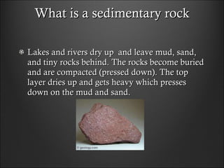 Sedimentary rocks sia luca | PPT