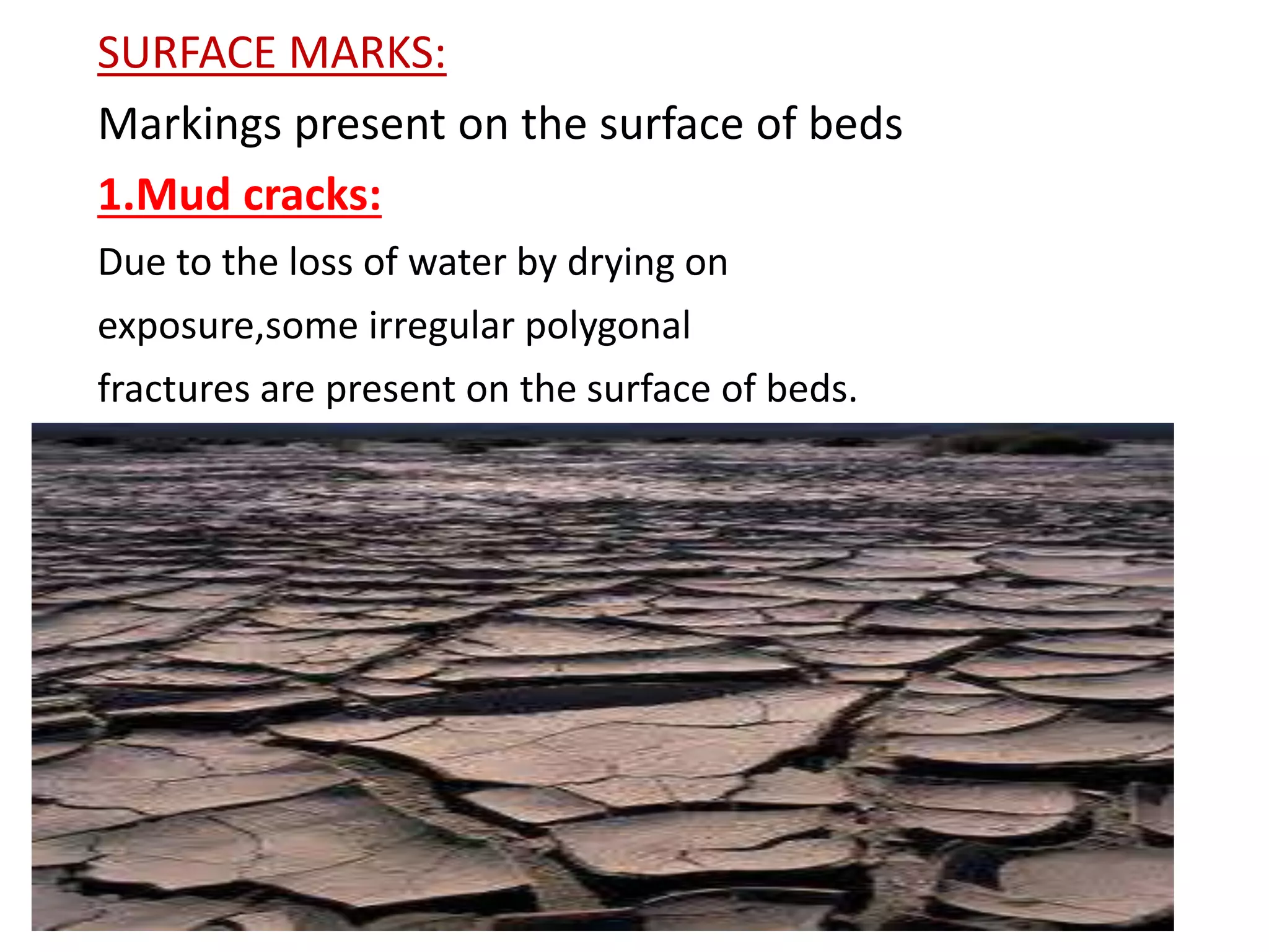 SURFACE MARKS:
Markings present on the surface of beds
1.Mud cracks:
Due to the loss of water by drying on
exposure,some irregular polygonal
fractures are present on the surface of beds.
 