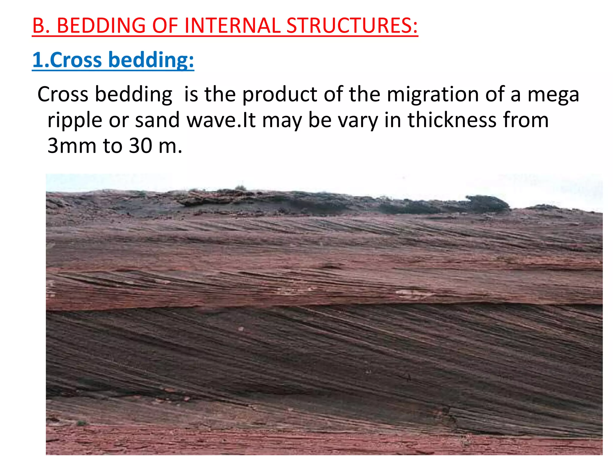 B. BEDDING OF INTERNAL STRUCTURES:
1.Cross bedding:
Cross bedding is the product of the migration of a mega
ripple or sand wave.It may be vary in thickness from
3mm to 30 m.
 