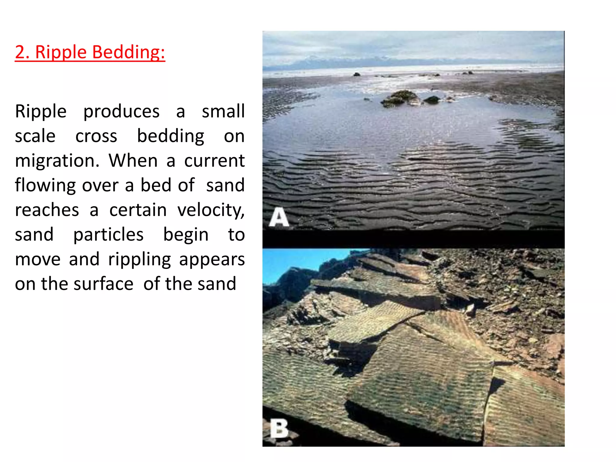 2. Ripple Bedding:
Ripple produces a small
scale cross bedding on
migration. When a current
flowing over a bed of sand
reaches a certain velocity,
sand particles begin to
move and rippling appears
on the surface of the sand
 