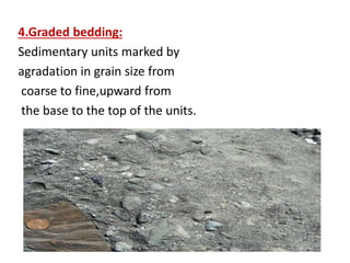 4.Graded bedding:
Sedimentary units marked by
agradation in grain size from
coarse to fine,upward from
the base to the top of the units.
 