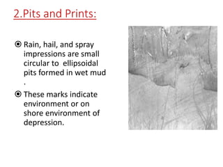 2.Pits and Prints:
 Rain, hail, and spray
impressions are small
circular to ellipsoidal
pits formed in wet mud
.
 These marks indicate
environment or on
shore environment of
depression.
 