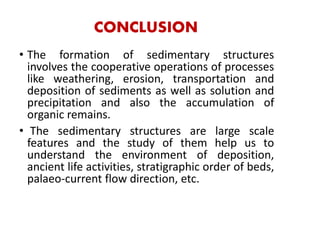 CONCLUSION
• The formation of sedimentary structures
involves the cooperative operations of processes
like weathering, erosion, transportation and
deposition of sediments as well as solution and
precipitation and also the accumulation of
organic remains.
• The sedimentary structures are large scale
features and the study of them help us to
understand the environment of deposition,
ancient life activities, stratigraphic order of beds,
palaeo-current flow direction, etc.
 